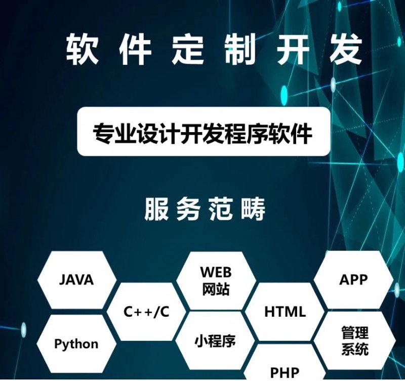 软件定制开发：企业成长的新引擎